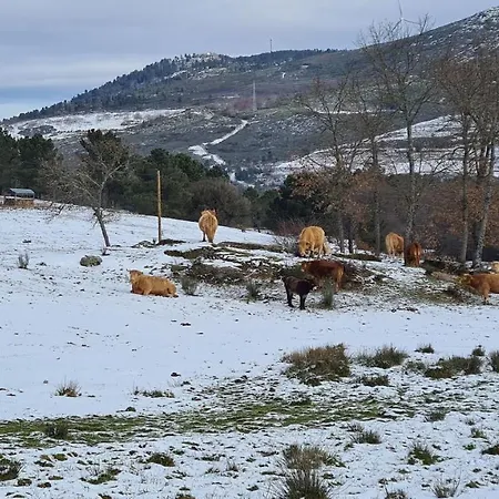 Quinta De Santo Estevao Rural Hotell