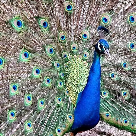 Quinta De Santo Estevao Rural Hotel