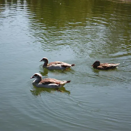 Hotel Quinta De Santo Estevao Rural Aguiar da Beira