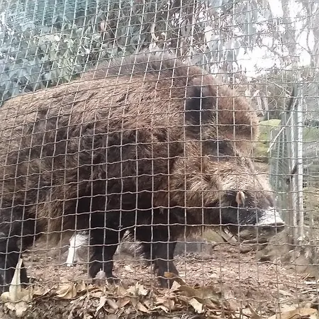 Quinta De Santo Estevao Rural 4*