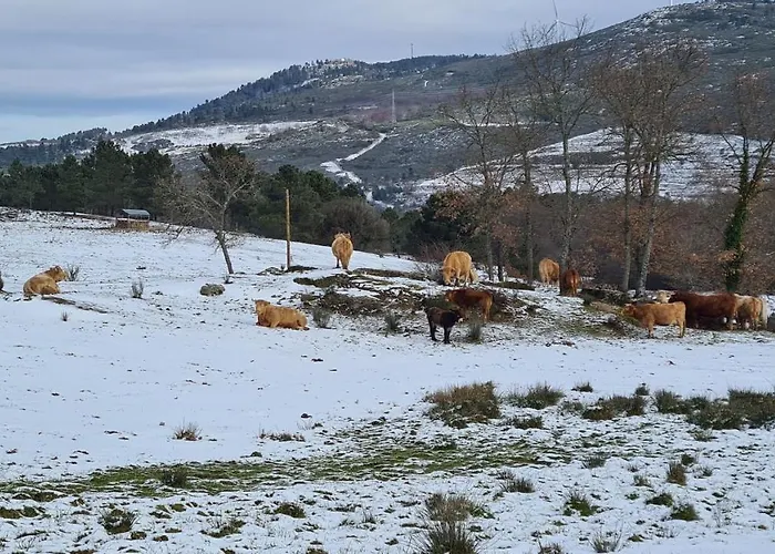 Quinta De Santo Estevao Rural מלון