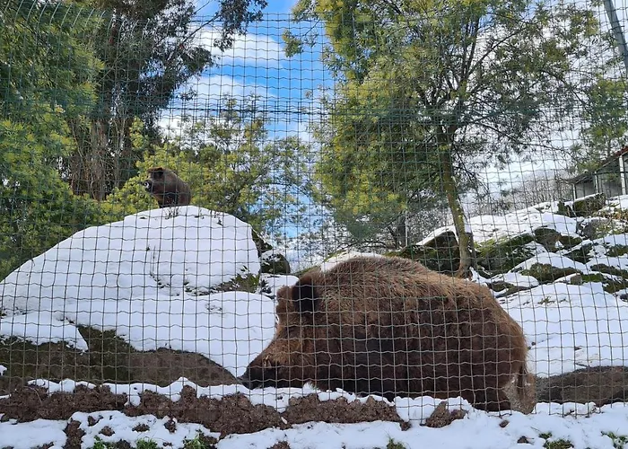 Quinta De Santo Estêvão Rural 4*