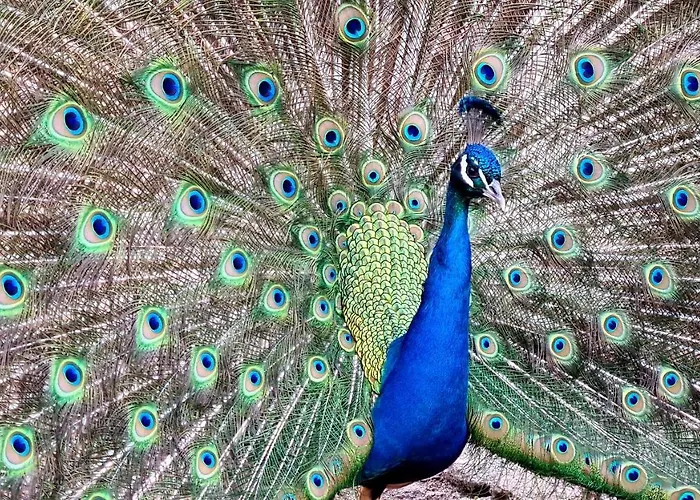 Quinta De Santo Estêvão Rural Hotel