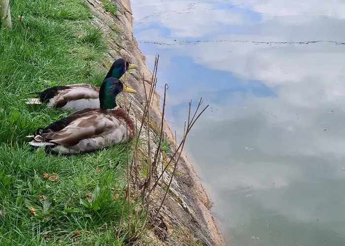 Hotel Quinta De Santo Estêvão Rural 4*