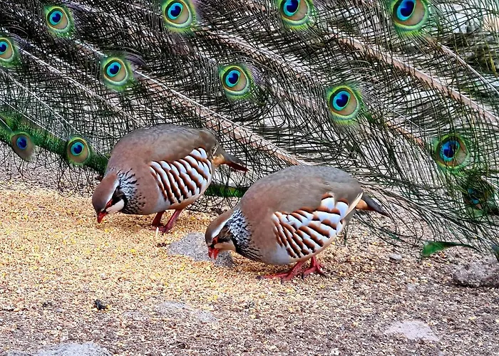 Quinta De Santo Estêvão Rural
