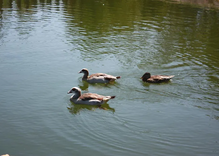 Hotel Quinta De Santo Estêvão Rural Aguiar da Beira