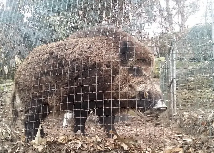 Quinta De Santo Estêvão Rural 4*