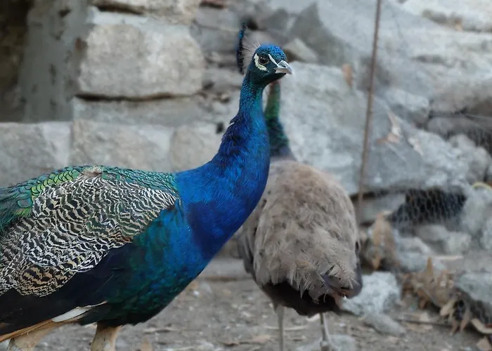 Hotel Quinta De Santo Estêvão Rural 4*