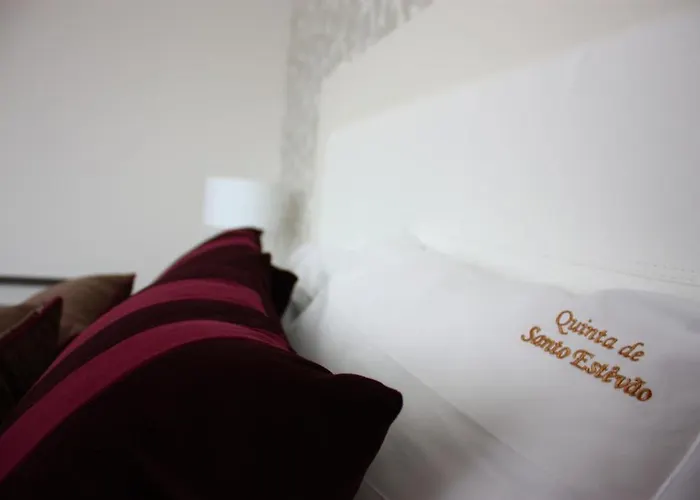Quinta De Santo Estevao Rural מלון 4*